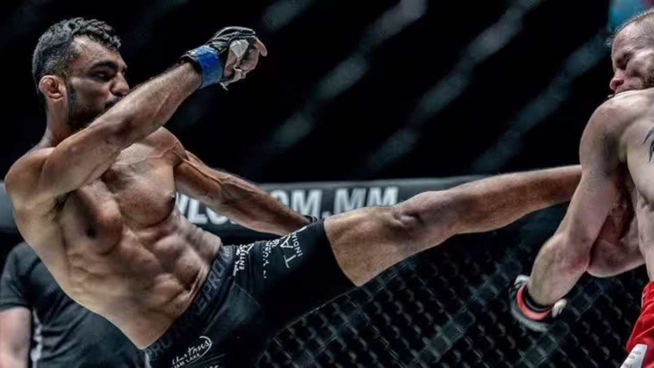 The Power of Free: Methstreams’ Impact on MMA and Boxing Enthusiasts