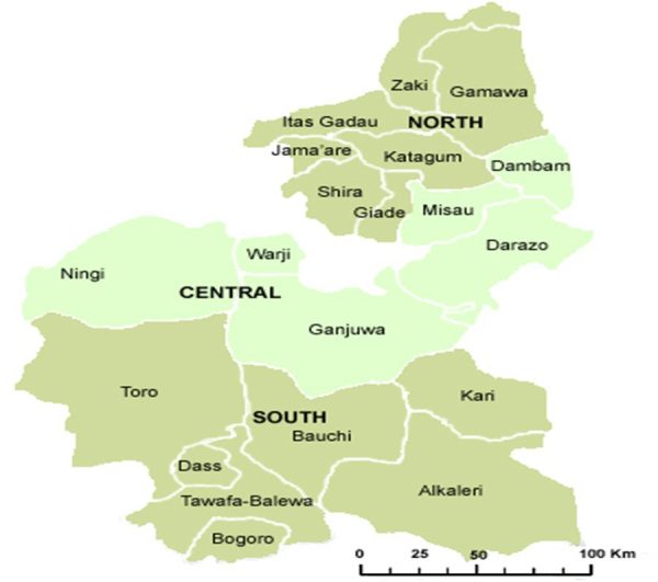 Exploring Traditional Herbal Remedies In Alkaleri