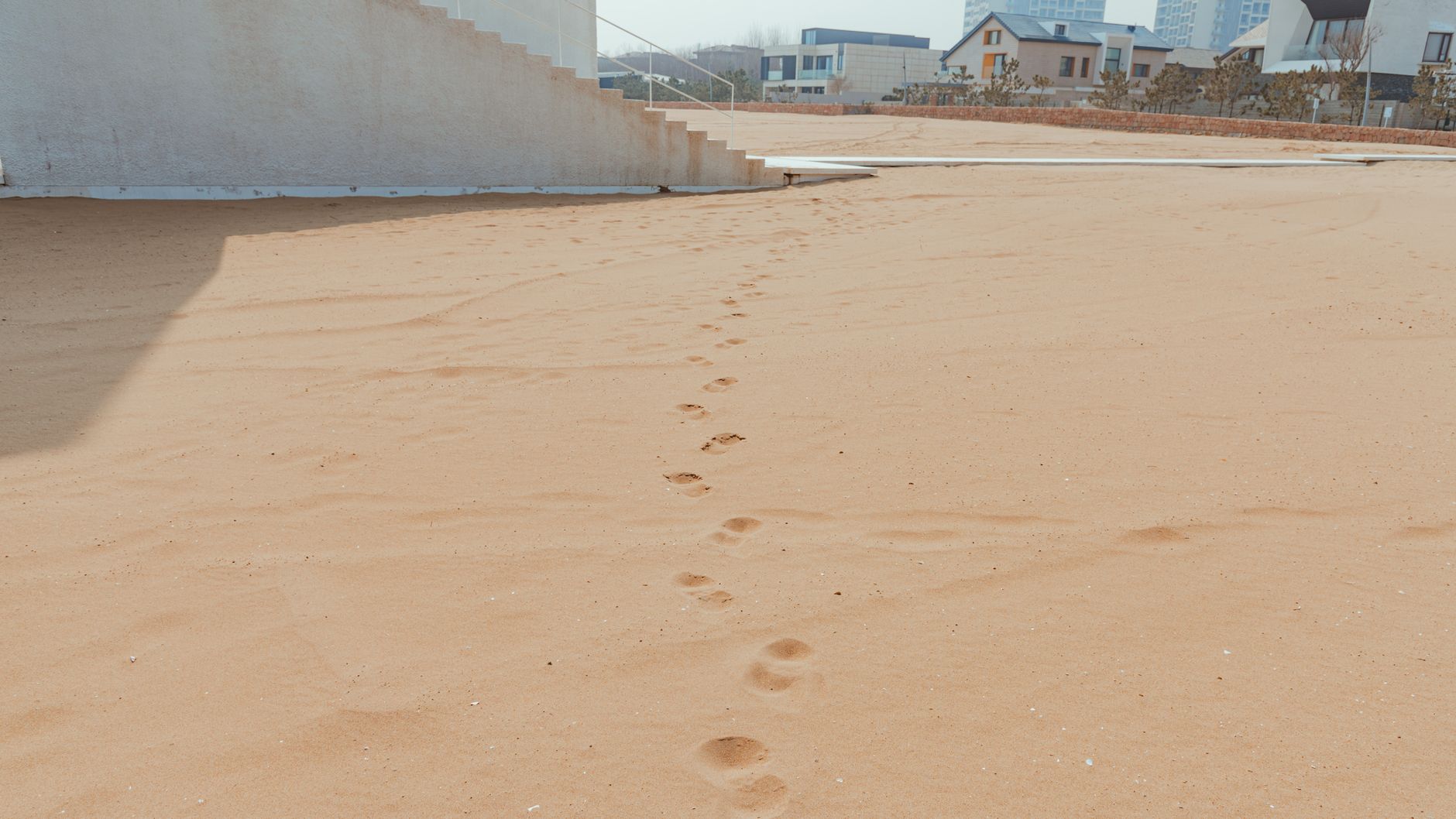 giant footprints discovery